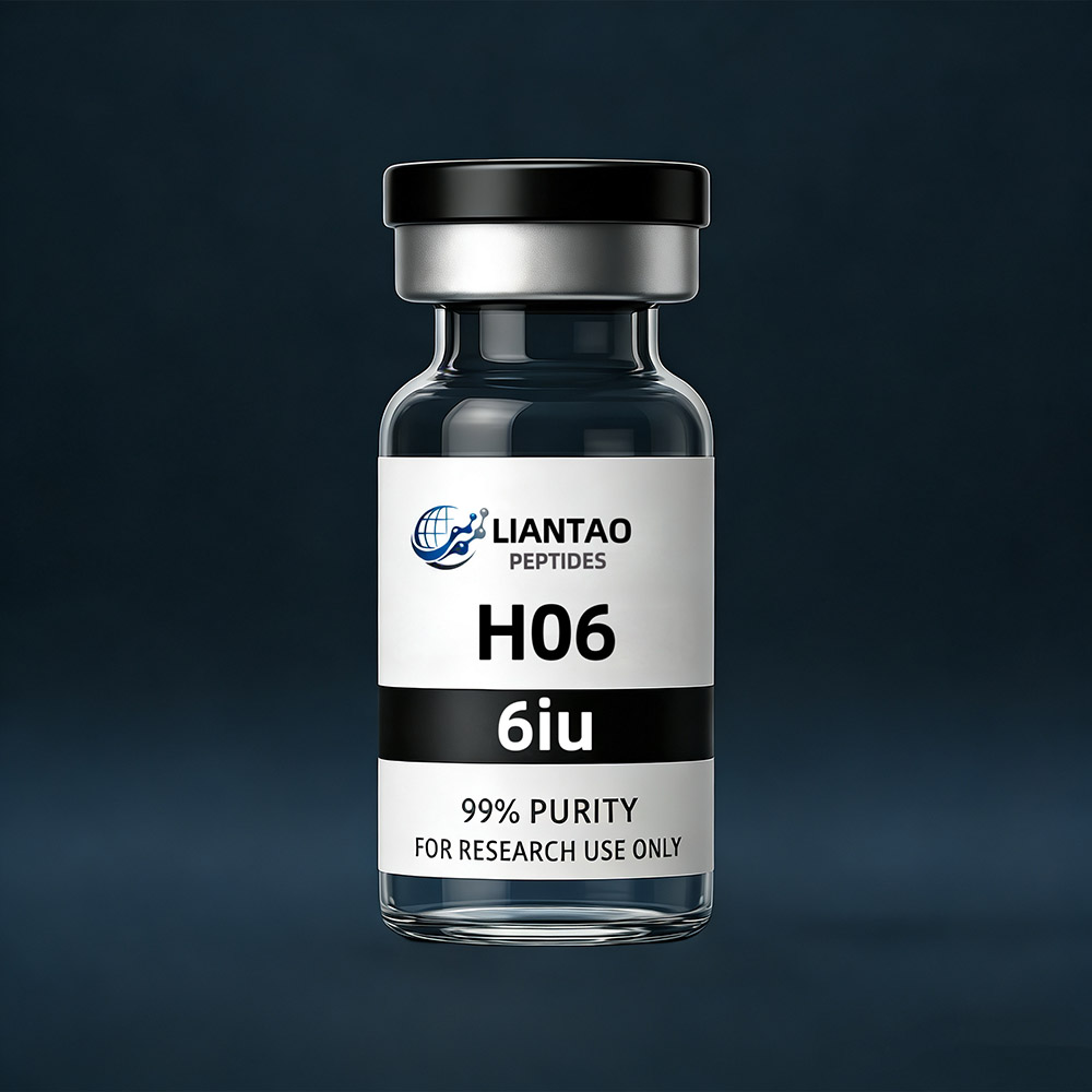 H06
